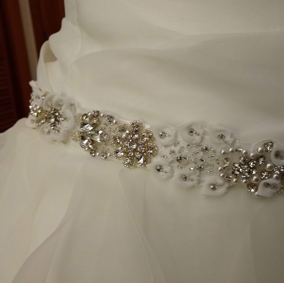 Wedding Dress - Picture 5 of 12